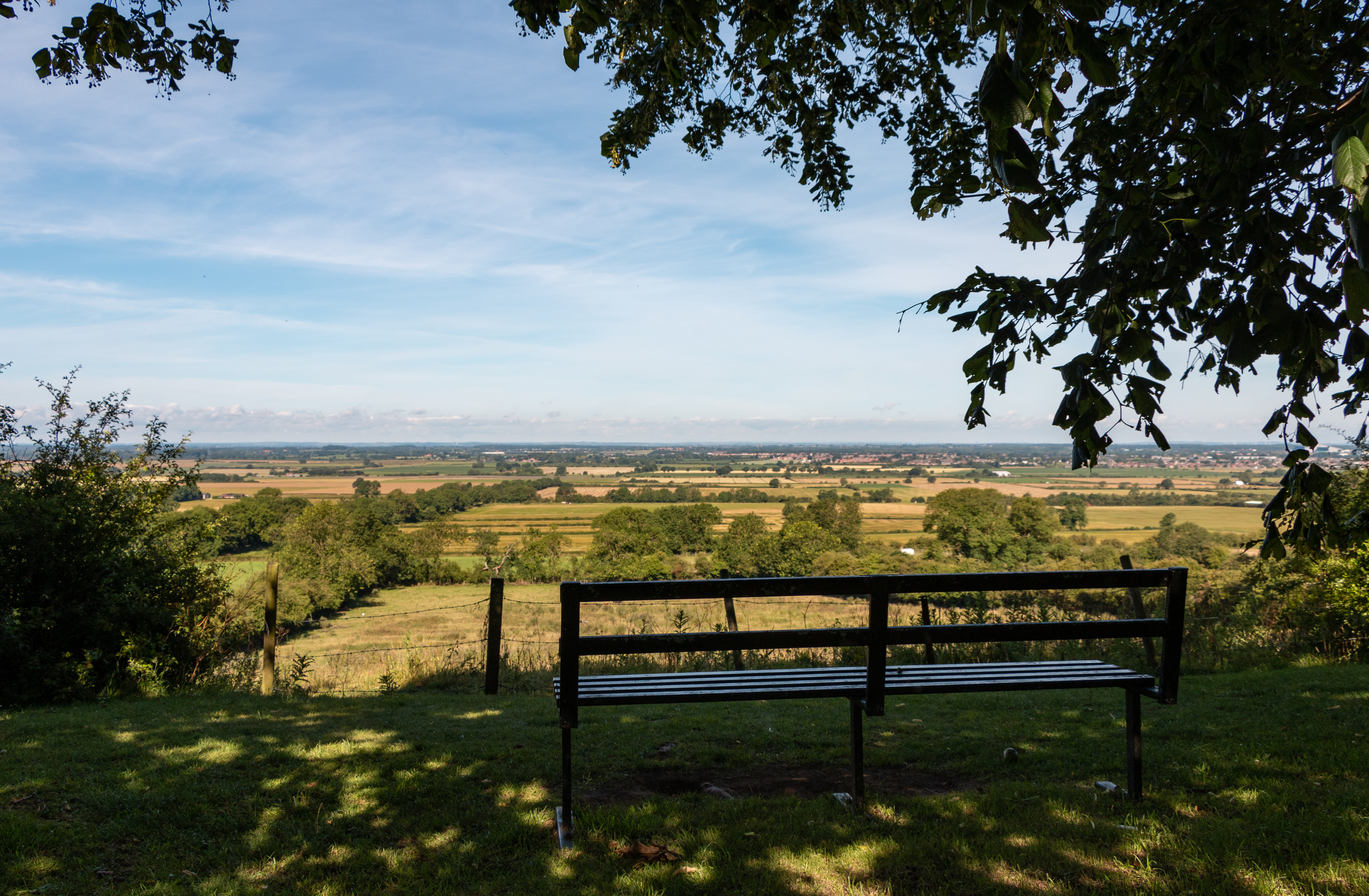 The View from Waddington Hilltop